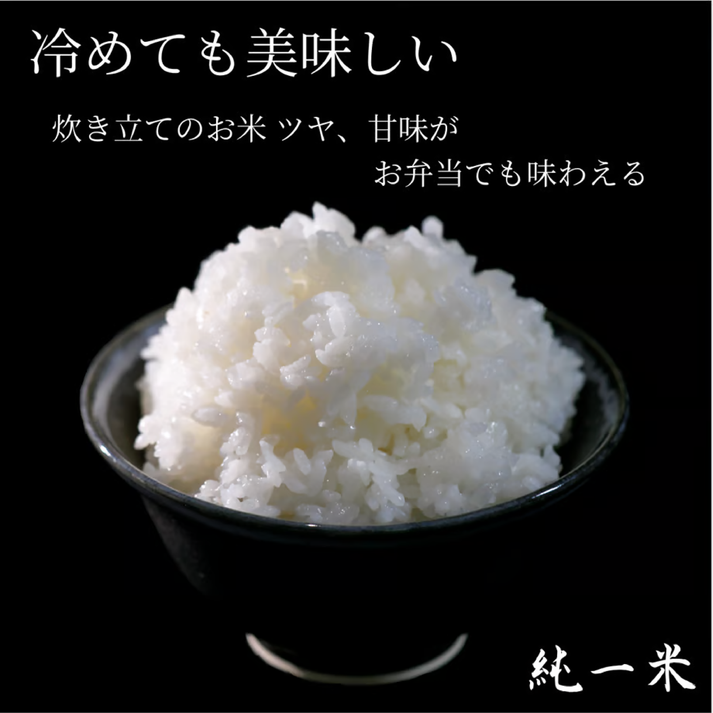 純一米 10kg
