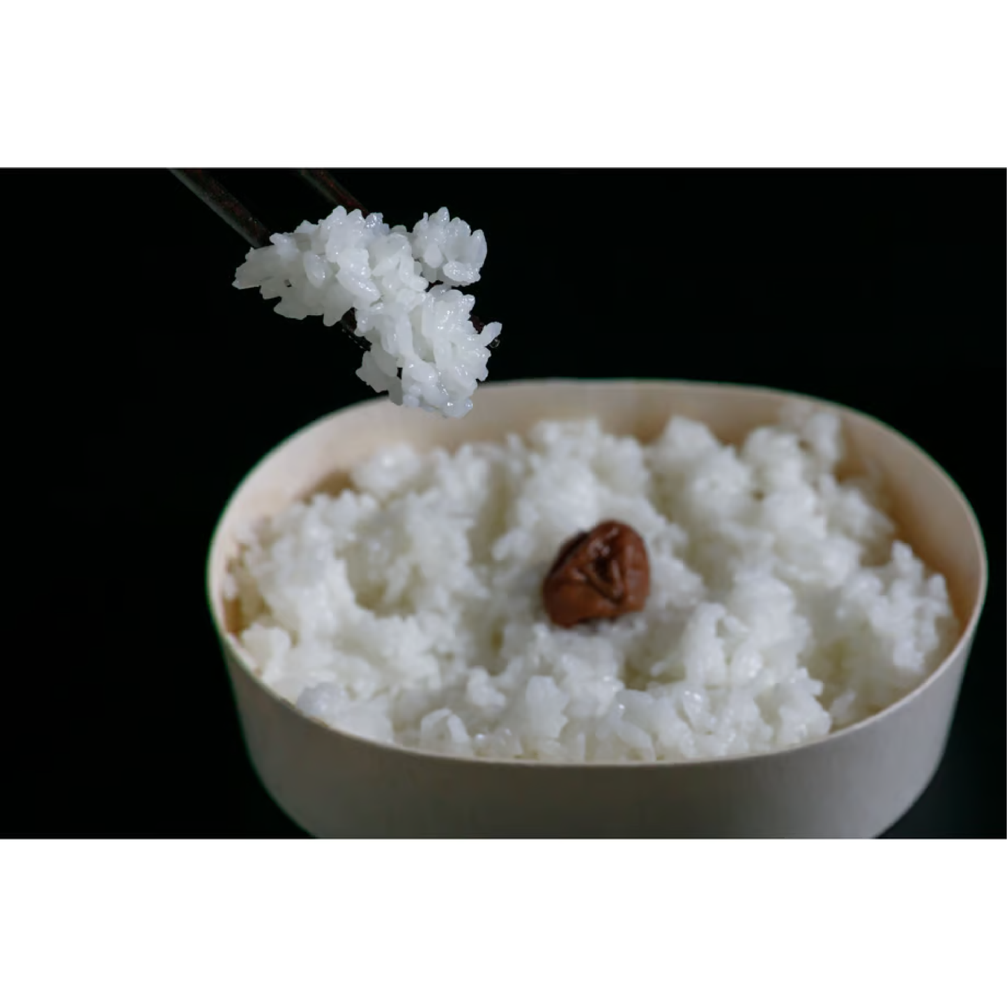 純一米 10kg
